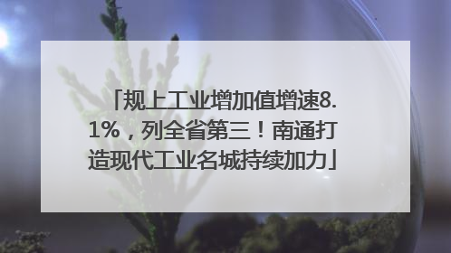 规上工业增加值增速8.1%，列全省第三！南通打造现代工业名城持续加力