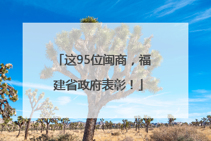 这95位闽商，福建省政府表彰！