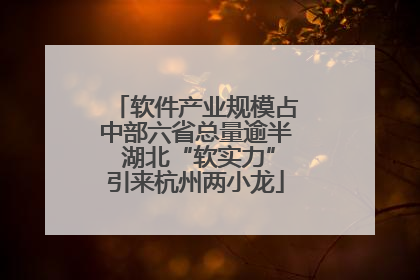 软件产业规模占中部六省总量逾半 湖北“软实力”引来杭州两小龙