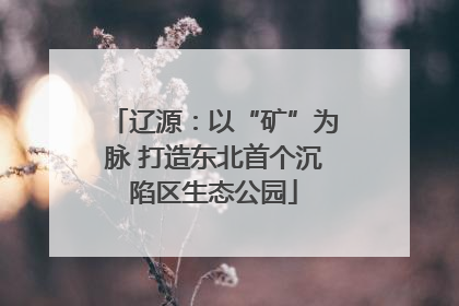 辽源：以“矿”为脉 打造东北首个沉陷区生态公园