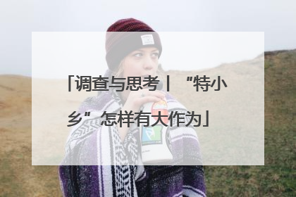 调查与思考丨“特小乡”怎样有大作为