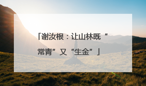 谢汝根：让山林既“常青”又“生金”