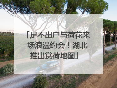 足不出户与荷花来一场浪漫约会！湖北推出赏荷地图