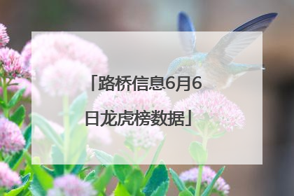 路桥信息6月6日龙虎榜数据