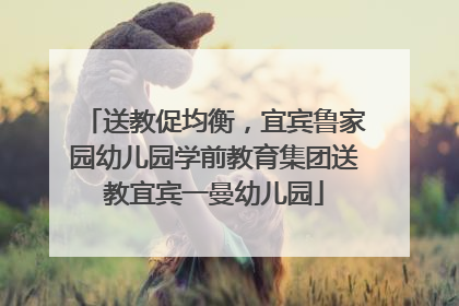 送教促均衡，宜宾鲁家园幼儿园学前教育集团送教宜宾一曼幼儿园