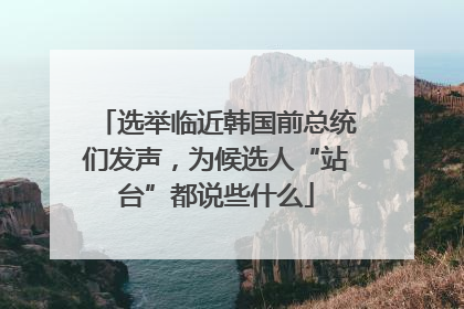 选举临近韩国前总统们发声，为候选人“站台”都说些什么