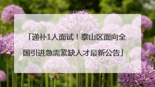 递补1人面试！泰山区面向全国引进急需紧缺人才最新公告
