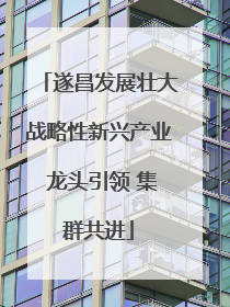 遂昌发展壮大战略性新兴产业 龙头引领 集群共进