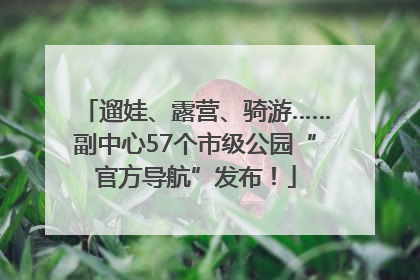 遛娃、露营、骑游……副中心57个市级公园“官方导航”发布！