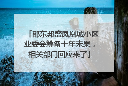 邵东邦盛凤凰城小区业委会筹备十年未果，相关部门回应来了