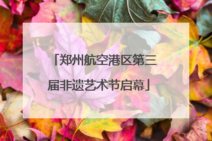 郑州航空港区第三届非遗艺术节启幕