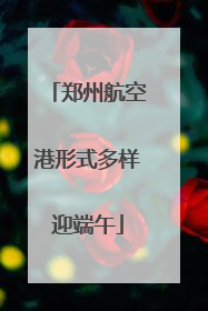 郑州航空港形式多样迎端午