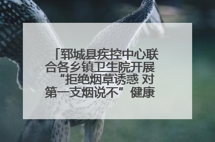 郓城县疾控中心联合各乡镇卫生院开展“拒绝烟草诱惑 对第一支烟说不”健康教育宣传活动