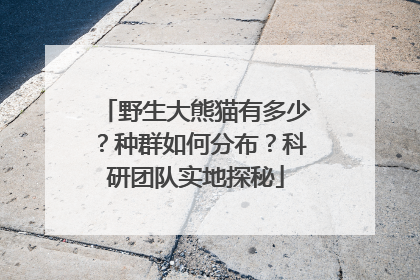 野生大熊猫有多少？种群如何分布？科研团队实地探秘