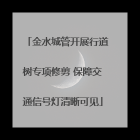 金水城管开展行道树专项修剪 保障交通信号灯清晰可见