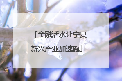 金融活水让宁夏新兴产业加速跑