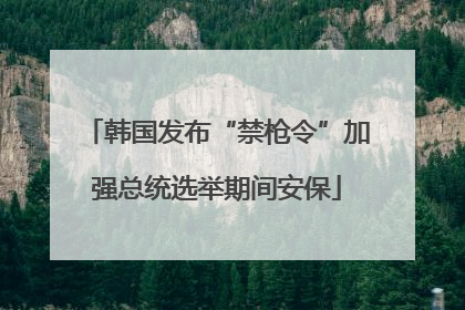 韩国发布“禁枪令”加强总统选举期间安保