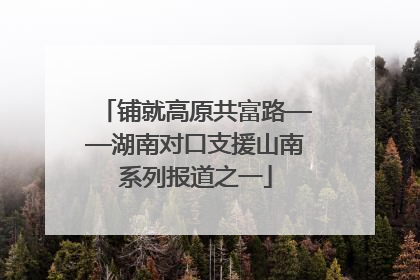 铺就高原共富路——湖南对口支援山南系列报道之一