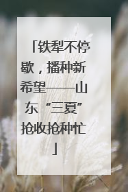 铁犁不停歇，播种新希望——山东“三夏”抢收抢种忙