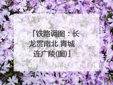 铁路调图：长龙贯南北 青城连广陵(图)
