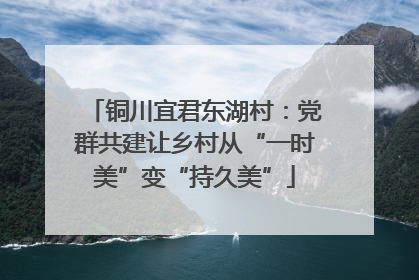 铜川宜君东湖村：党群共建让乡村从“一时美”变“持久美”