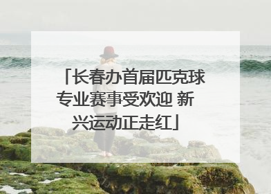 长春办首届匹克球专业赛事受欢迎 新兴运动正走红