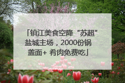 镇江美食空降“苏超”盐城主场，2000份锅盖面+ 肴肉免费吃