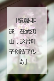 镜观·非遗｜在武夷山，这片叶子创造了传奇