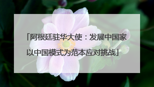 阿根廷驻华大使：发展中国家以中国模式为范本应对挑战
