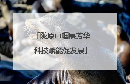 陇原巾帼展芳华 科技赋能促发展