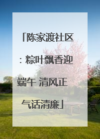 陈家渡社区：粽叶飘香迎端午 清风正气话清廉