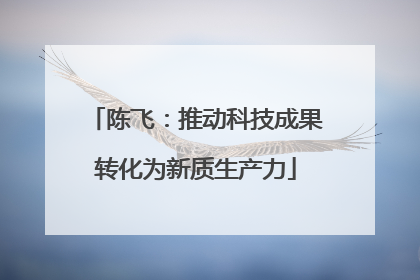 陈飞：推动科技成果转化为新质生产力