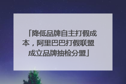 降低品牌自主打假成本，阿里巴巴打假联盟成立品牌抽检分盟