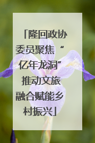 隆回政协委员聚焦“亿年龙洞” 推动文旅融合赋能乡村振兴