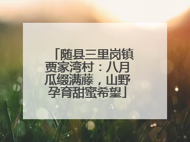 随县三里岗镇贾家湾村：八月瓜缀满藤，山野孕育甜蜜希望