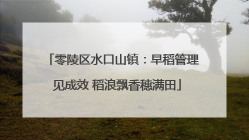 零陵区水口山镇：早稻管理见成效 稻浪飘香穗满田