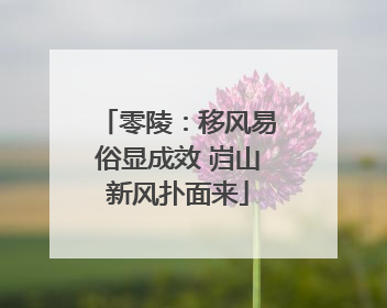 零陵：移风易俗显成效 岿山新风扑面来