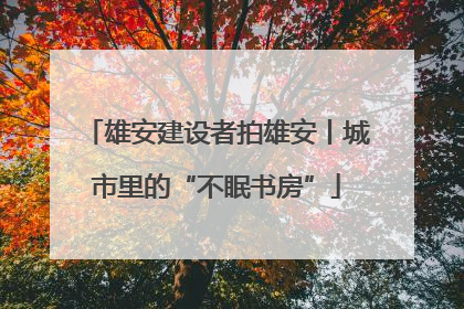 雄安建设者拍雄安丨城市里的“不眠书房”