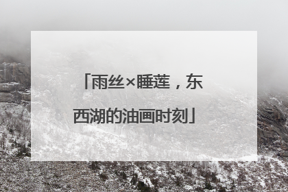 雨丝×睡莲，东西湖的油画时刻