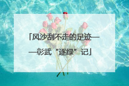 风沙刮不走的足迹——彰武“逐绿”记