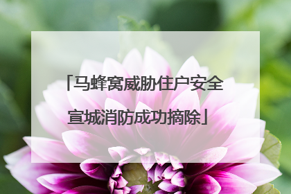 马蜂窝威胁住户安全 宣城消防成功摘除