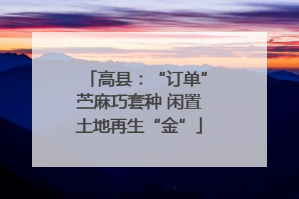高县：“订单”苎麻巧套种 闲置土地再生“金”