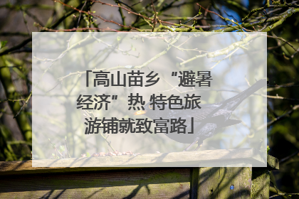 高山苗乡“避暑经济”热 特色旅游铺就致富路