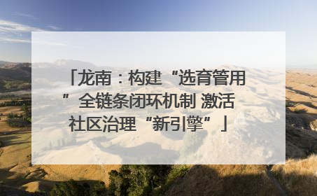 龙南：构建“选育管用”全链条闭环机制 激活社区治理“新引擎”