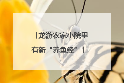 龙游农家小院里有新“养鱼经”