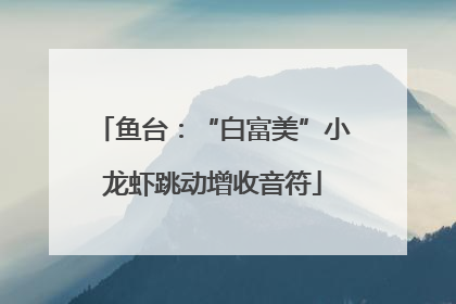 鱼台：“白富美”小龙虾跳动增收音符