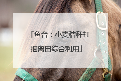 鱼台：小麦秸秆打捆离田综合利用