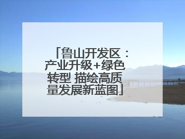 鲁山开发区：产业升级+绿色转型 描绘高质量发展新蓝图