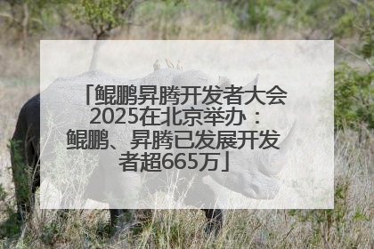 鲲鹏昇腾开发者大会2025在北京举办：鲲鹏、昇腾已发展开发者超665万