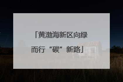 黄渤海新区向绿而行“碳”新路